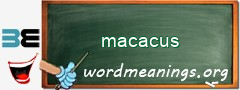 WordMeaning blackboard for macacus